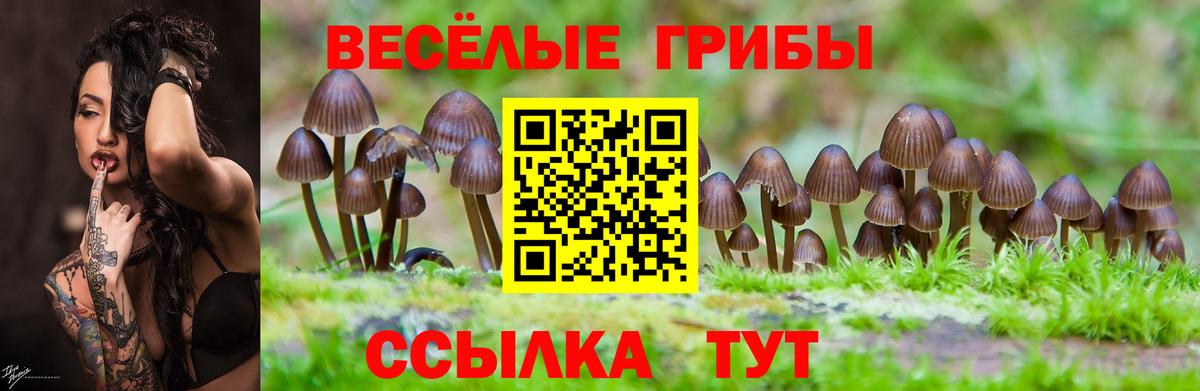 Клин  Псилоцибиновые грибы мицелий  Вход с VPN 